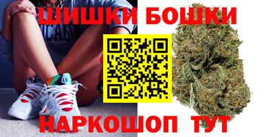 бошки Заводоуковск