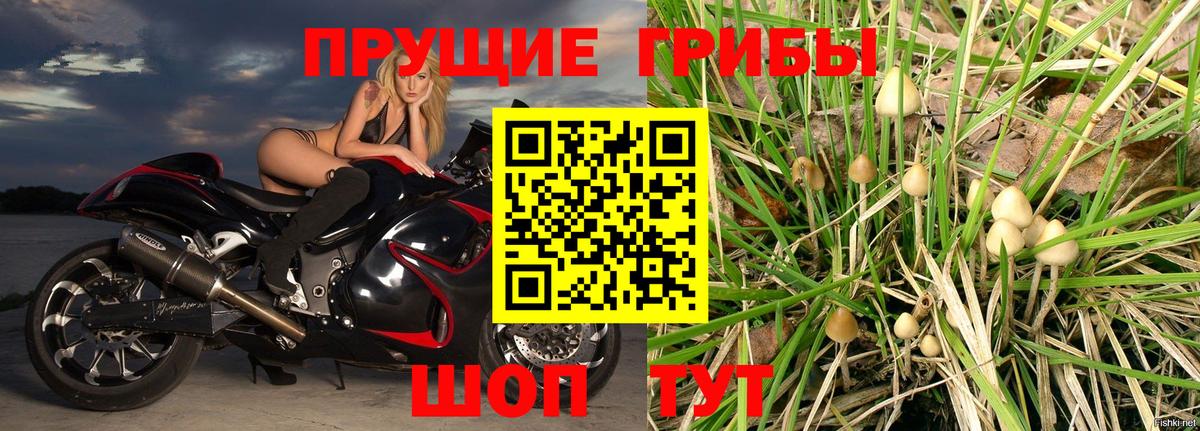 Волхов  Галлюциногенные грибы Magic Shrooms  Вход с VPN 